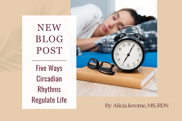 Five Ways Circadian Rhythms Regulate Life